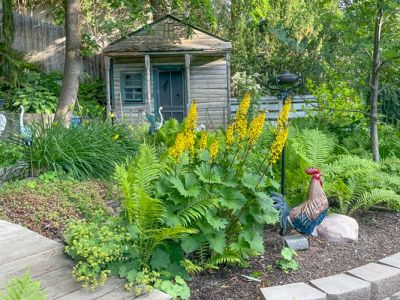 cyr photo studio outside